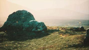 prado alpino com pedras e grama verde video