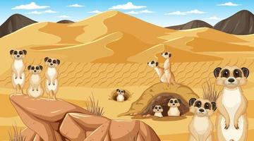 Meerkats in desert forest landscape vector