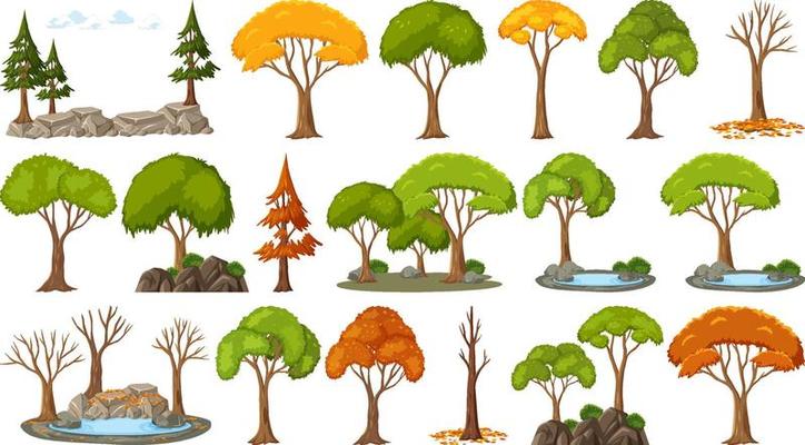 Set of four seasons trees on white background