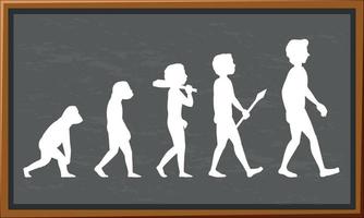 Stages of human evolution cartoon character vector