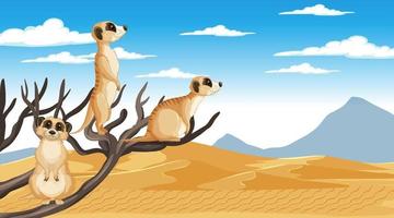 Meerkats in desert forest landscape vector