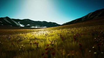 Panoramablick auf die alpine Berglandschaft in den Alpen video