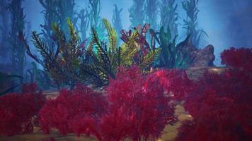 recife de coral subaquático com raios de sol