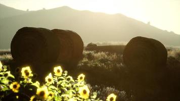 hay bales in the sunset video