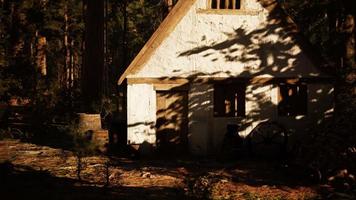 oud houten huis in het herfstbos video