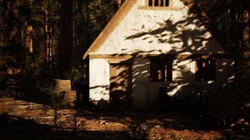 old wooden house in the autumn forest video