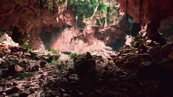 große feenhafte Felsenhöhle mit grünen Pflanzen video