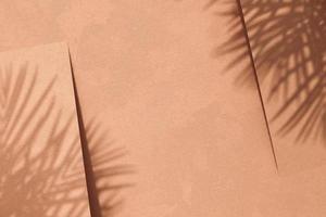 Abstract background for creative, tropical plants shade on three brown paper. 3d rendering photo