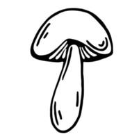 Boletus vector icon. Isolated illustration on a white background. Edible forest mushroom. Food sketch. Fungi thin black outline. Hand-drawn doodle. Monochrome. Line art plants.
