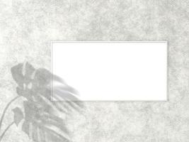 Marco blanco horizontal de 1x2 para maqueta de foto o imagen sobre fondo de hormigón con sombra de hojas de monstera. representación 3d