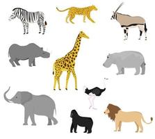 ambientado con animales salvajes africanos. estilo plano jirafa, elefante, hipopótamo, rinoceronte, cebra, mono, orangután, antílope, guepardo, león, leopardo, avestruz. vector