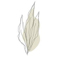Leaf in line style isolated on white background vector