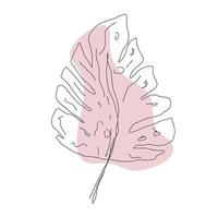 Leaf in line style isolated on white background vector