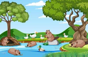 Forest background with beavers and ducks vector