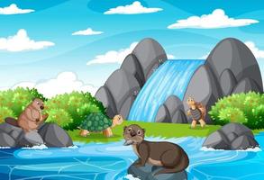 Waterfall in the forest with tortoises and an otter vector