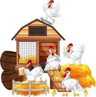 An isolated scene with a group of chickens in cartoon style vector