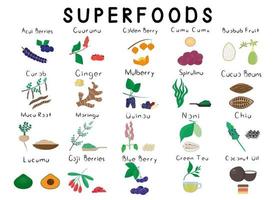 gran set con 20 superalimentos diferentes. producto natural de desintoxicación saludable. suplemento dietetico organik fruta. vegetales, semillas, frutas, bayas para la homeopatía. ilustración de dibujos animados vector