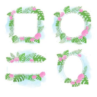 hand drawn summer tropical flower botanical flat style frame on watercolor background collection