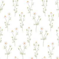 beautiful minimal hand drawn white chamomile flower seamless pattern for paper or fabric vector