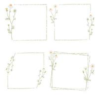 beautiful minimal white chamomile flower square frame collection vector