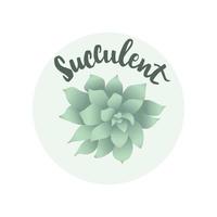 ilustración de vector de echeveria suculenta con letras dibujadas a mano. vista superior de la planta de interior. puede usarse para pancarta, pegatina, afiche, publicidad, elemento de plantilla de diseño, tarjetas e impresiones.