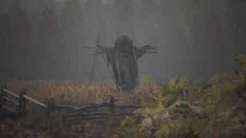 terrible scarecrow in dark cloak and dirty hat stands alone in autumn field video