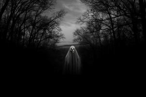 Scary Ghost Free Stock Photo