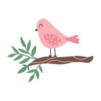 Cute pink bird on a branch. Spring bird on the tree. Vector hand drawn illustration.