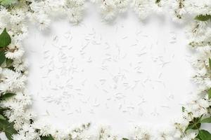 White summer flowers in petals on a white background. Layout. Flat lay, top view, copy space. photo