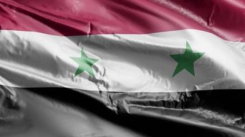 syrië vlag zwaaien op de wind-lus. syrische banner zwaaiend op de wind. volledige vulling achtergrond. 10 seconden lus. video