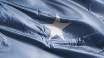 Somalia flag waving on the wind loop. Somali banner swaying on the breeze. Full filling background. 10 seconds loop. video