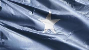 Somalia textile flag slow waving on the wind loop. Somali banner smoothly swaying on the breeze. Fabric textile tissue. Full filling background. 20 seconds loop. video