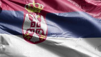 Serbiens textilflagga vajar långsamt på vindslingan. serbisk banderoll mjukt vajande på vinden. tyg textilvävnad. full fyllning bakgrund. 20 sekunders loop. video