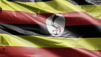 bandeira de uganda acenando lentamente no loop de vento. bandeira de uganda balançando suavemente na brisa. fundo de preenchimento completo. Ciclo de 20 segundos. video