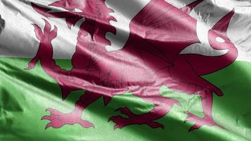 Wales textile flag slow waving on the wind loop. Wales banner smoothly swaying on the breeze. Fabric textile tissue. Full filling background. 20 seconds loop. video