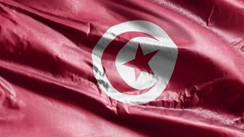 Tunisia textile flag waving on the wind loop. Tunisian banner swaying on the breeze. Fabric textile tissue. Full filling background. 10 seconds loop. video