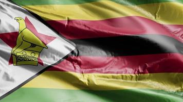 Zimbabwe flag waving on the wind loop. Zimbabwe banner swaying on the breeze. Full filling background. 10 seconds loop. video