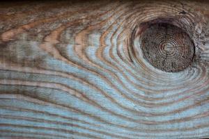 Wood multicolor texture photo