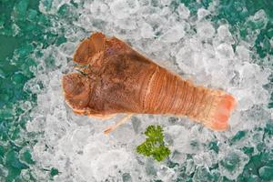 Fresh slipper lobster flathead for cooking in the seafood restaurant or seafood market, Raw flathead lobster shrimps on ice, Rock Lobster Moreton Bay Bug