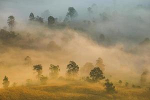 Beautiful foggy sunrise mist covered mountain forest landscape top view - Mountain ranges with tree at countryside photo