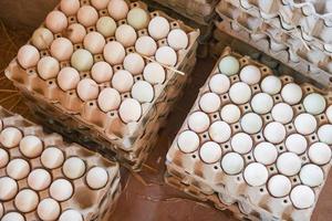 Fresh eggs white duck egg box - produce eggs fresh from the farm organic photo