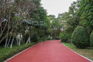 The red asphalt runway in the park is flanked by trees photo