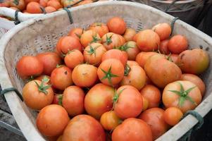 tomates maduros en la cesta, imagen de fondo foto