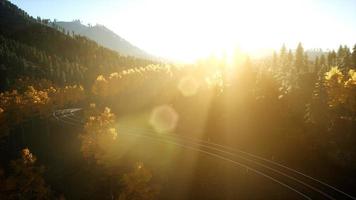 Luftdrohnenansichtsflug über Kiefernwald im Berg bei Sonnenuntergang video