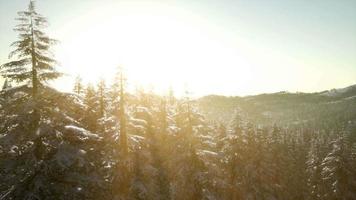 8k fantastique paysage d'hiver en soirée video