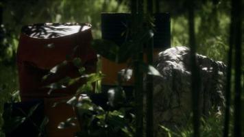 Rusty barrels in green forest video