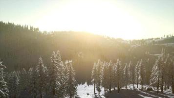 paesaggio invernale illuminato dalla luce del sole al mattino video