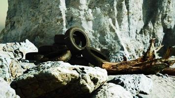 vieux pneus abandonnés au bord de la mer video