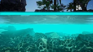 sección transversal de vista dividida de agua de mar y palmeras en la isla video