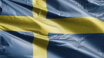 Sweden flag slow waving on the wind loop. Swedish banner smoothly swaying on the breeze. Full filling background. 20 seconds loop. video